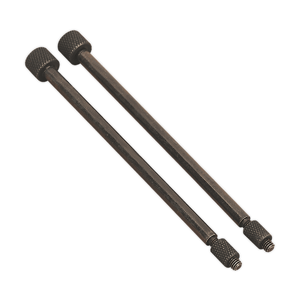 Sealey VS803/02 Door Hinge Removal Pins O5.0 x 110mm Pack of 2