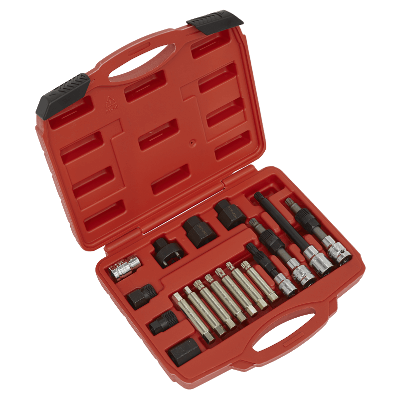 Sealey SX402 Alternator Freewheel Pulley Removal Set 18pc UKtools