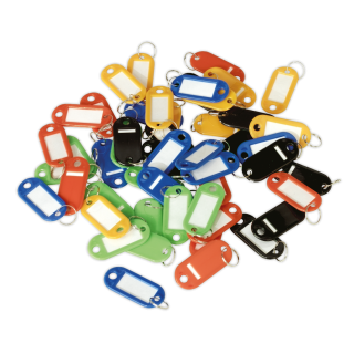 Sealey SKTAG50 - Key Tag Assortment 50pc